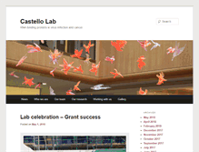 Tablet Screenshot of castellolab.com